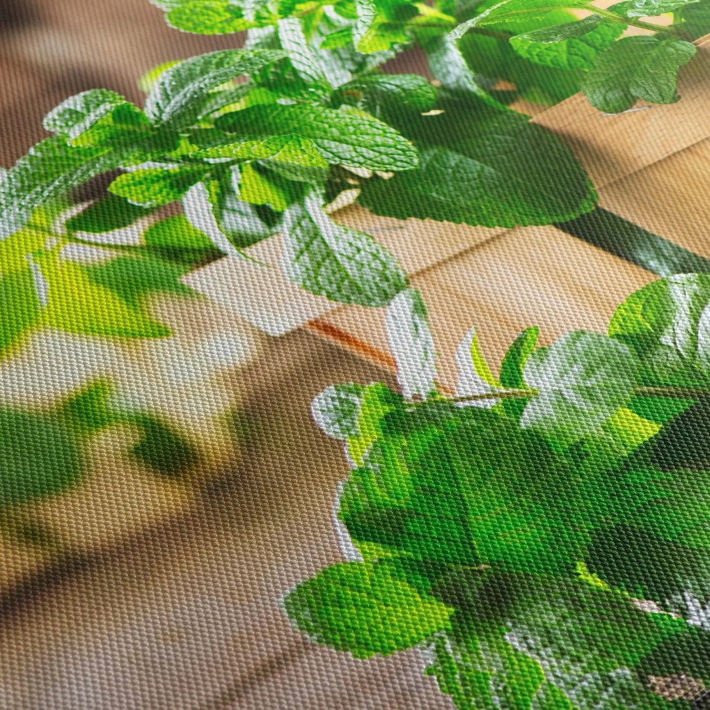 Friss menta képe (90x60 cm)