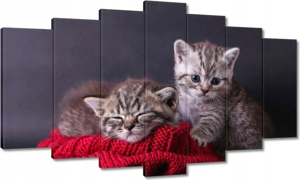 Képek 140x80 Cica Cicák