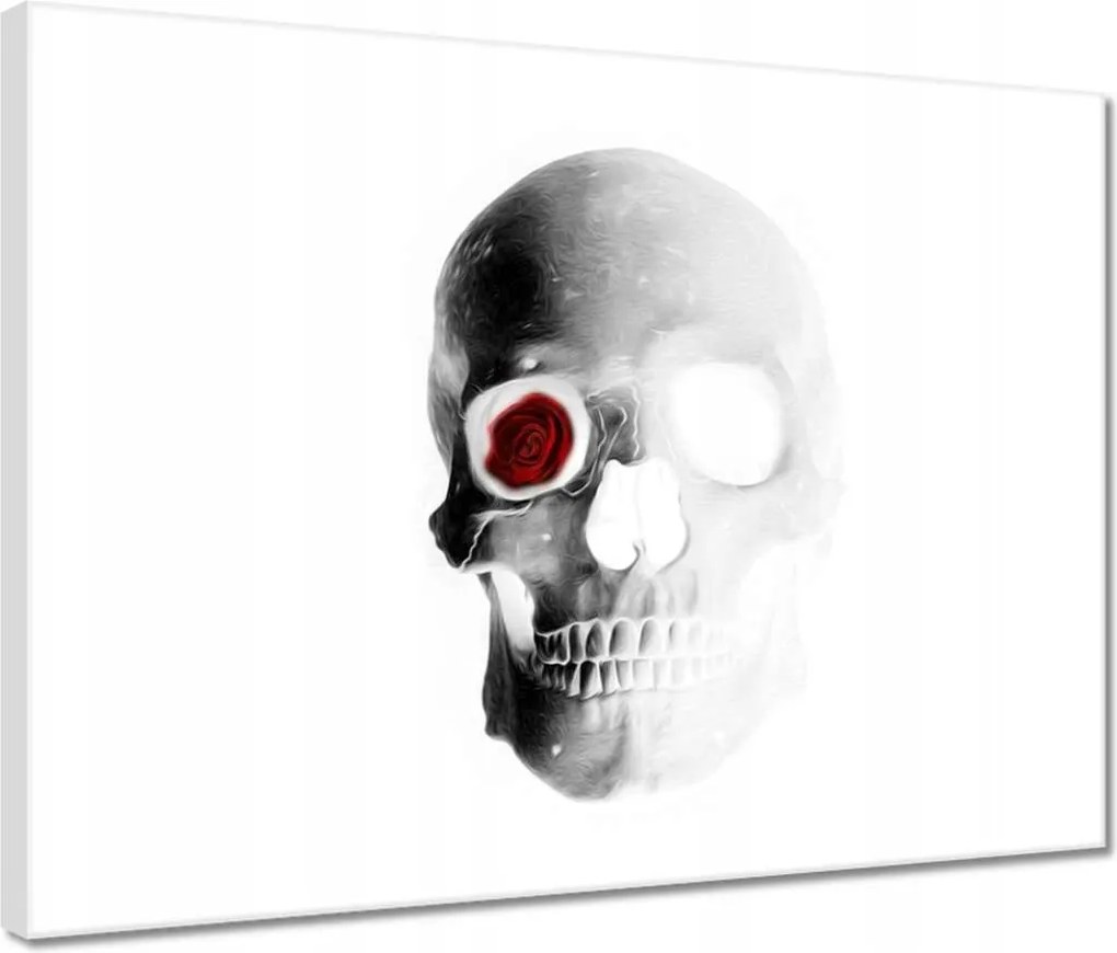 Vászonkép 40x30 Koponya rózsával Rózsa