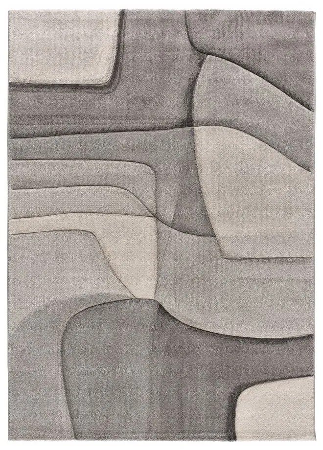 Szürke szőnyeg 160x230 cm Medel – Universal
