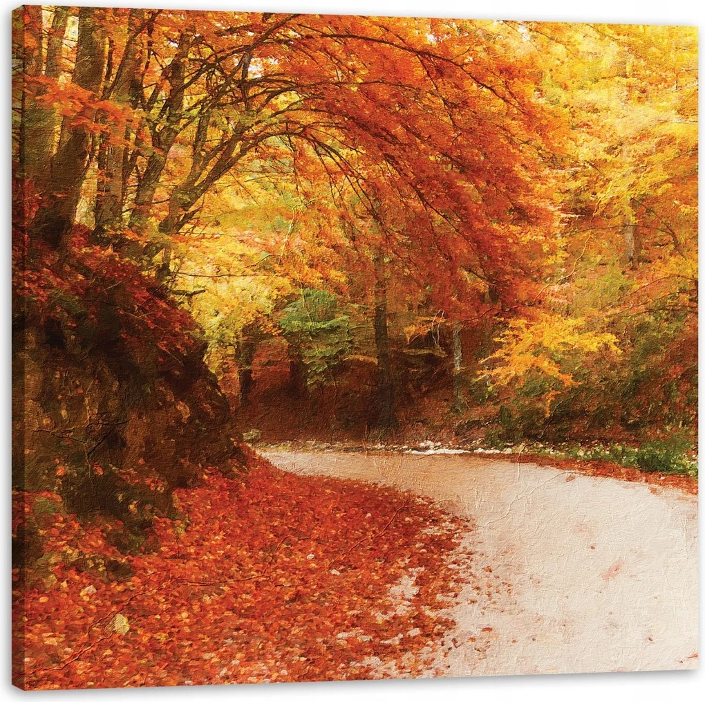 Vászonkép Ösvény az őszi erdőben Színes levelek 40X40 cm