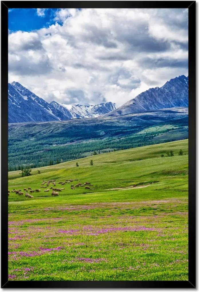 Poszterek keretben 40x60 Juh legeltetés Bárányok