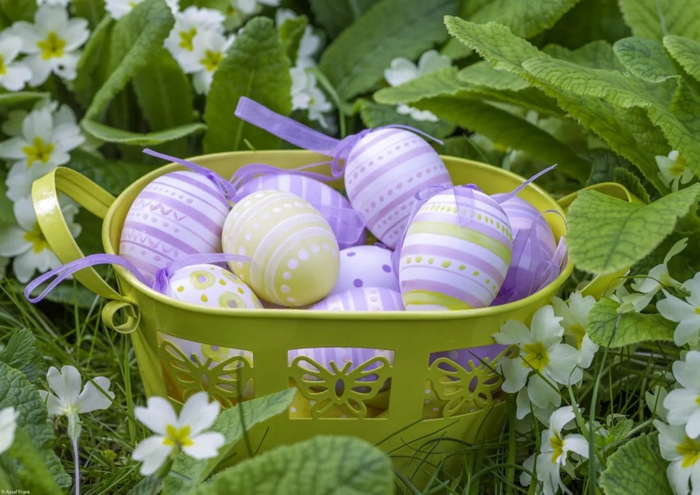 Poszter 42x29,7cm Húsvéti tojások kosárban 4, Assaf Frank