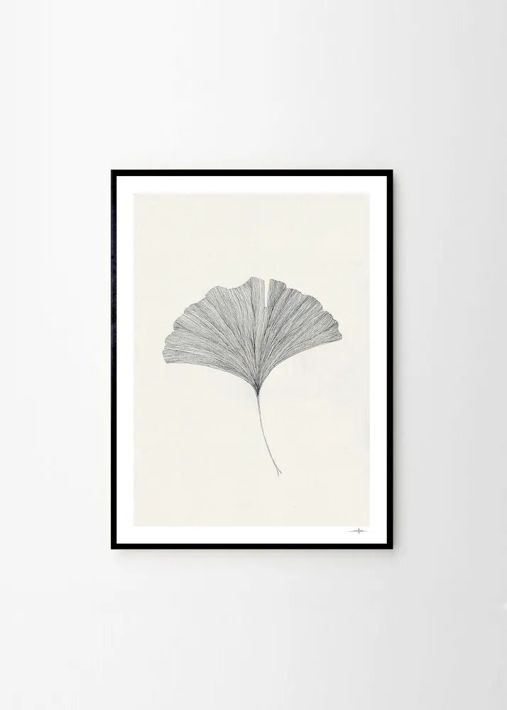 Poszter 50x70 cm Ginkgo Leaf – Ana Frois – The Poster Club