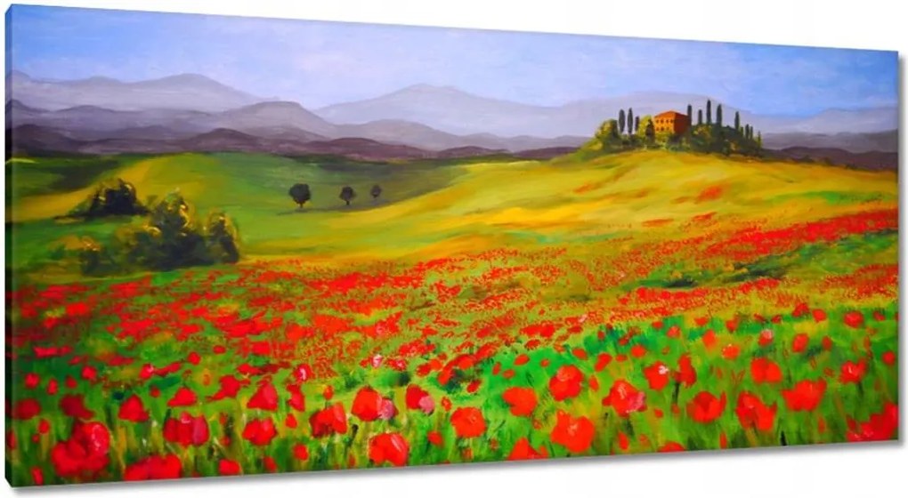 Vászonkép 115x55 Provence pipacsokkal