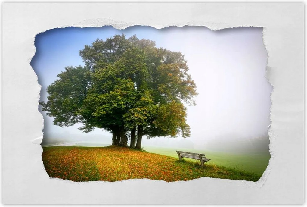 Poszterek 90x60 Tájkép paddal Fa