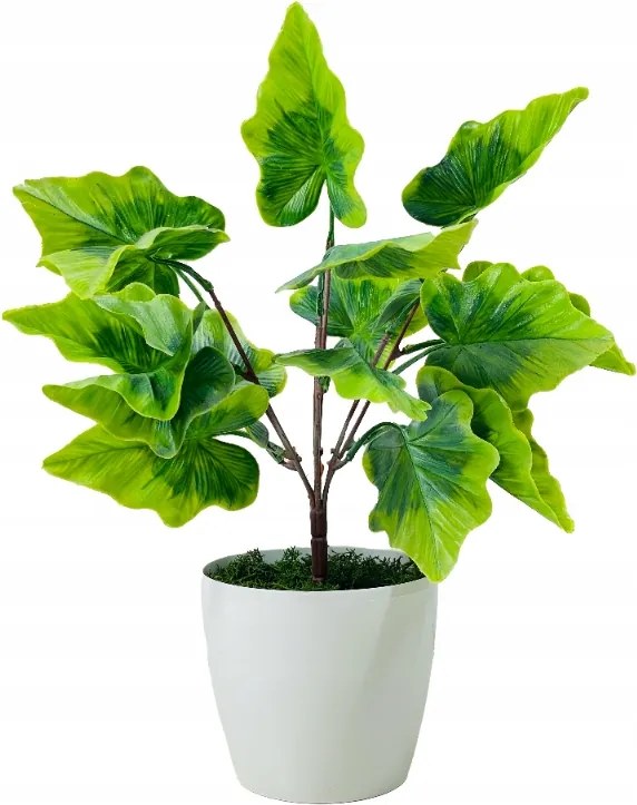 Mű Alokázia Fa, Virág Cserépben, Növény Irodába, Levelek 37 cm