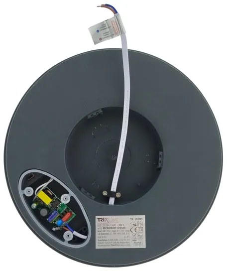 LED mennyezeti lámpa mozgásérzékelővel LED/20W/230V 3000/4000/6500K IP54 antracit