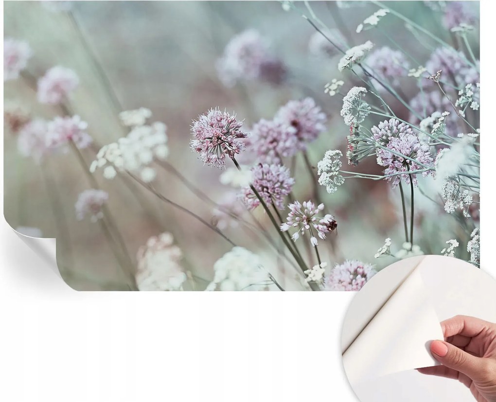 Öntapadós tapéta Divatos 3D fali ragasztóval Mezei virágok 416x254 cm