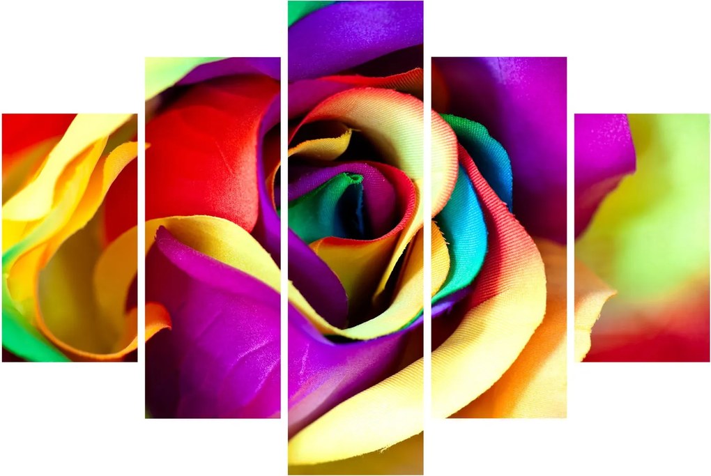 Kép - Színes rózsa (150x105 cm)