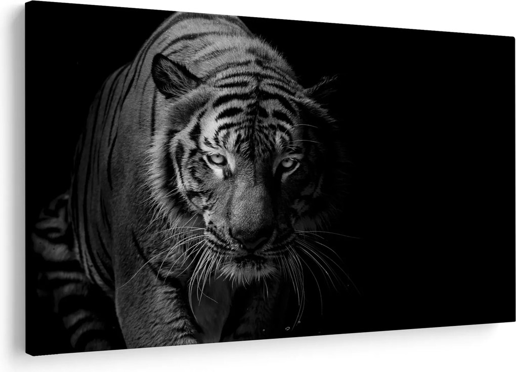 Egy vadtigris képe (90x60 cm)