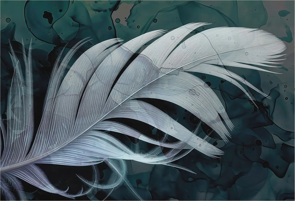 Flizelina Dekoratív Hálószoba Fotótapéta Illóolaj toll 152x104 Ragasztó