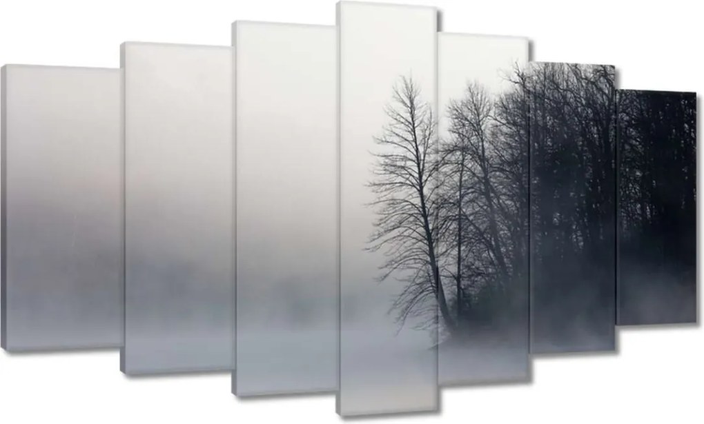 Vászonkép 140x80 Ködös erdő Tél