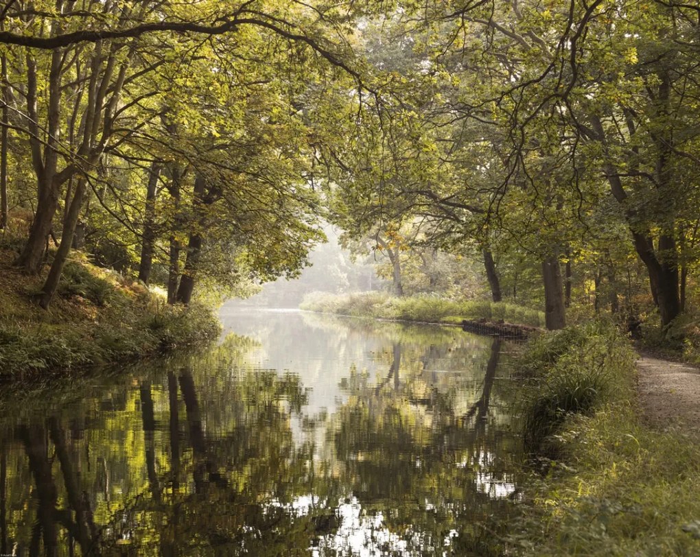 Poszter 76x60,5cm Basingstoke csatorna 2, Assaf Frank