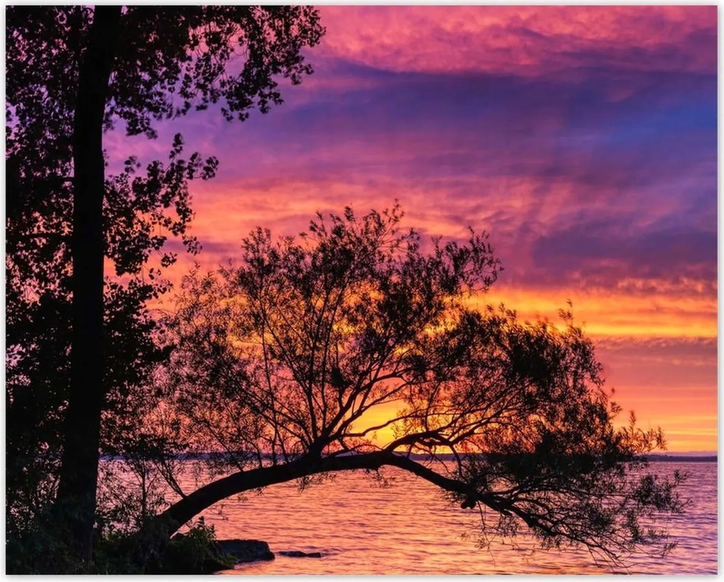 Poszterek 50x40 Tó Fa Nyugat