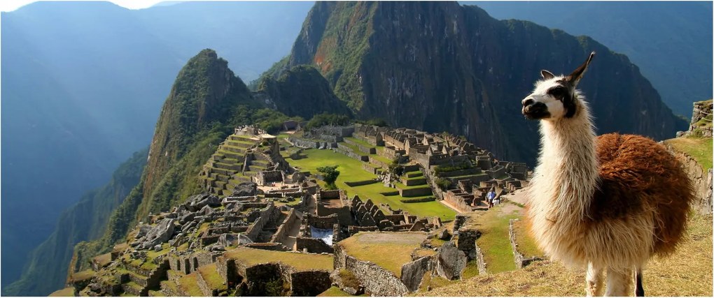 Kép - Láma és Machu Picchu (120x50 cm)