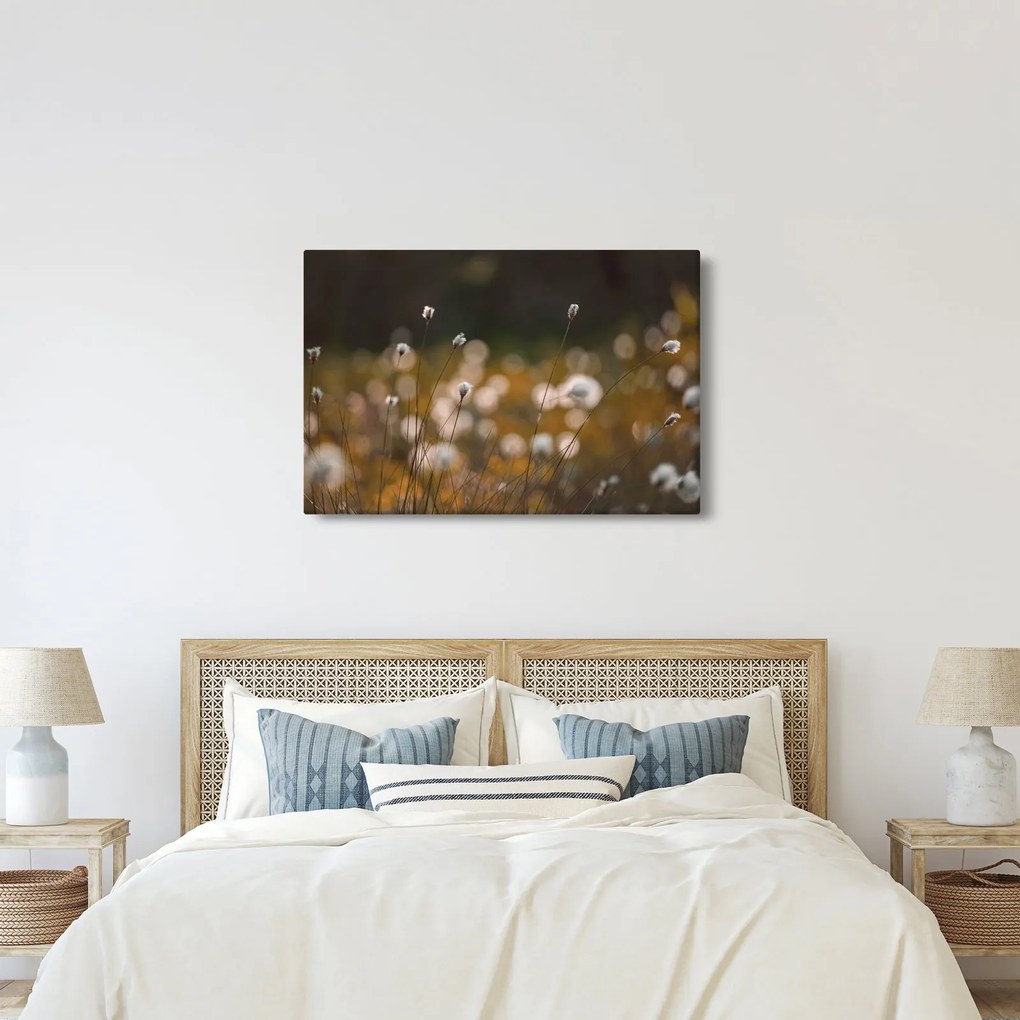 Kép - Gyapotfűvel borított rét N⁰2 (90x60 cm)