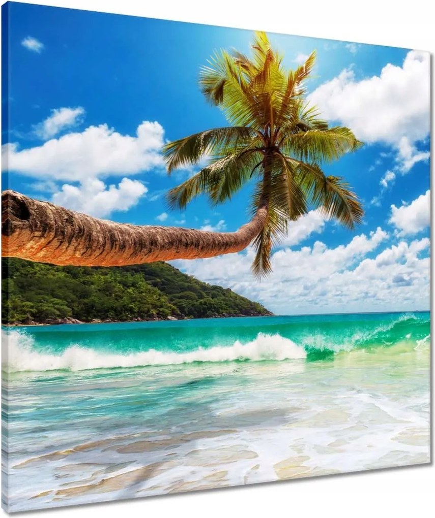 Vászonkép 60x60 Paradicsomi tengerpart pálmafákkal