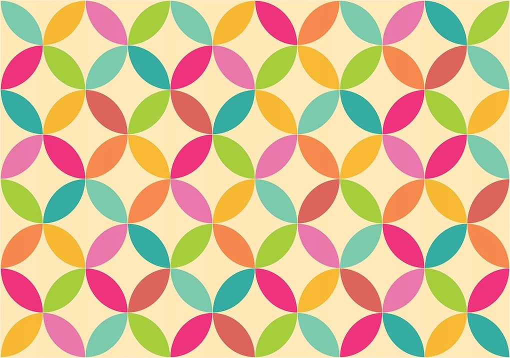 Fotótapéta Geometrikus retro oválisok és kerekek a falon 460x300 +ragasztó