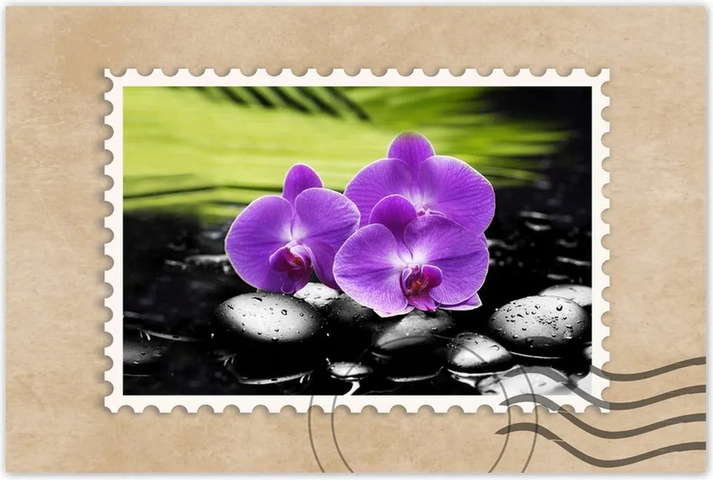 Poszterek 90x60 Orchideák a köveken