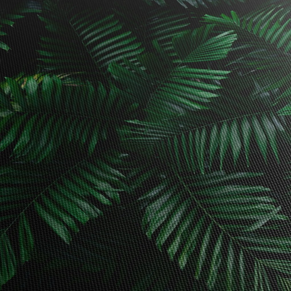 Kép - trópusi páfrány (90x60 cm)