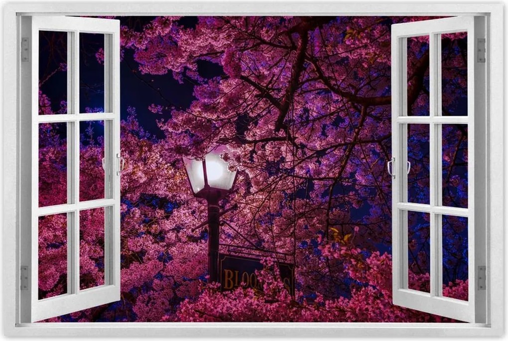 Poszterek 120x80 Mély éjszaka Lámpa Virágok