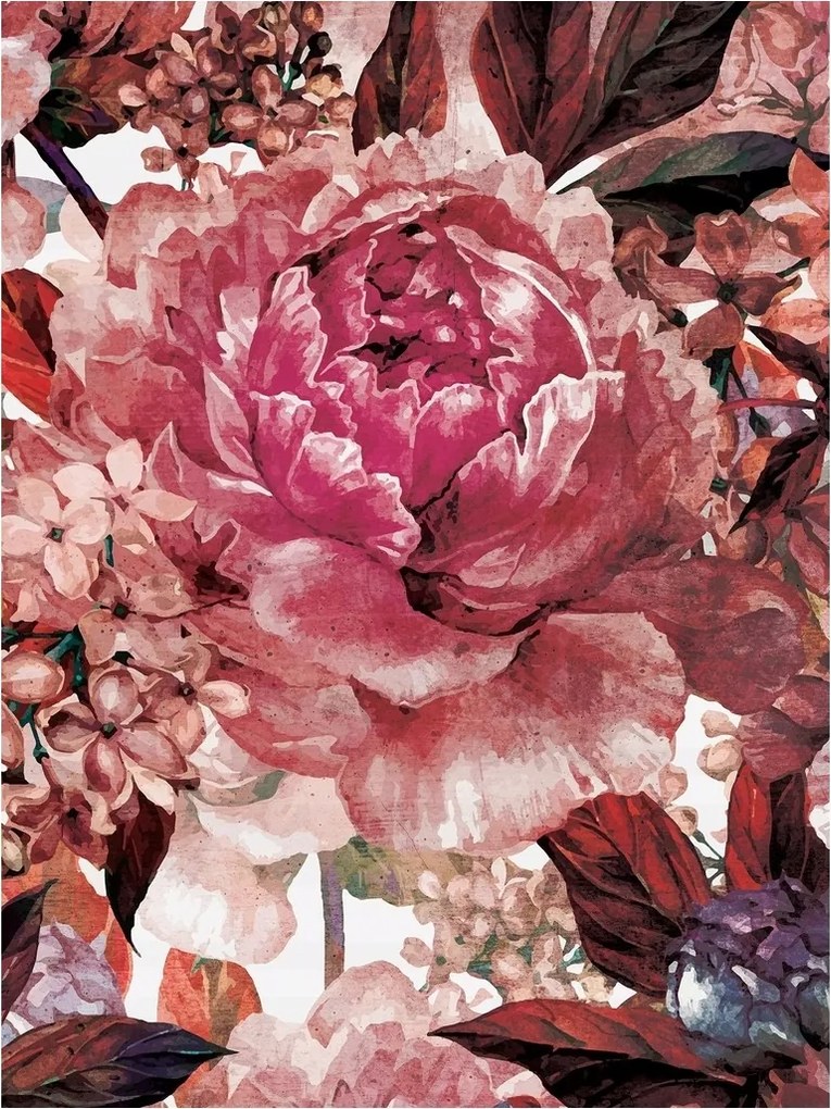 Fotótapéta Peonie Virágok Bazsarózsa Nappali Hd 184x254