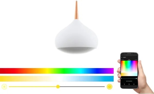 Eglo 97087 - LED RGBW dimmelhető függesztett lámpa COMBA-C LED/18W/230V