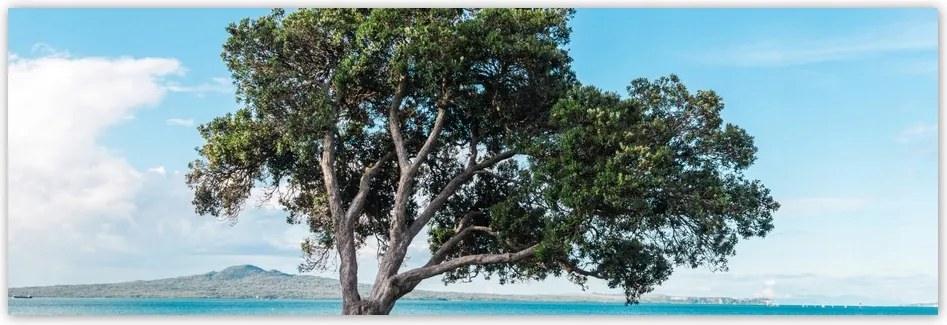 Poszterek 200x66 Magányos fa