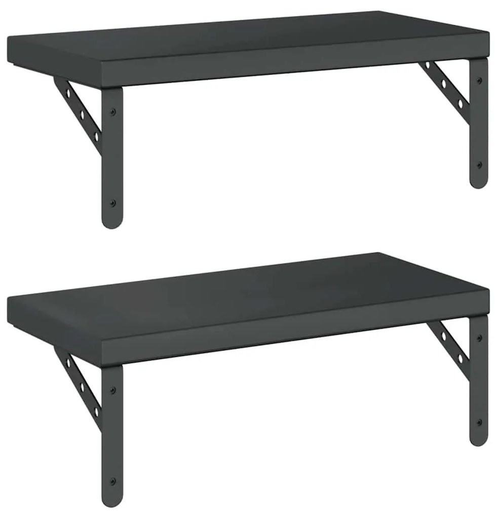 2 db fekete rozsdamentes acél fali polc 50 x 23,5 cm