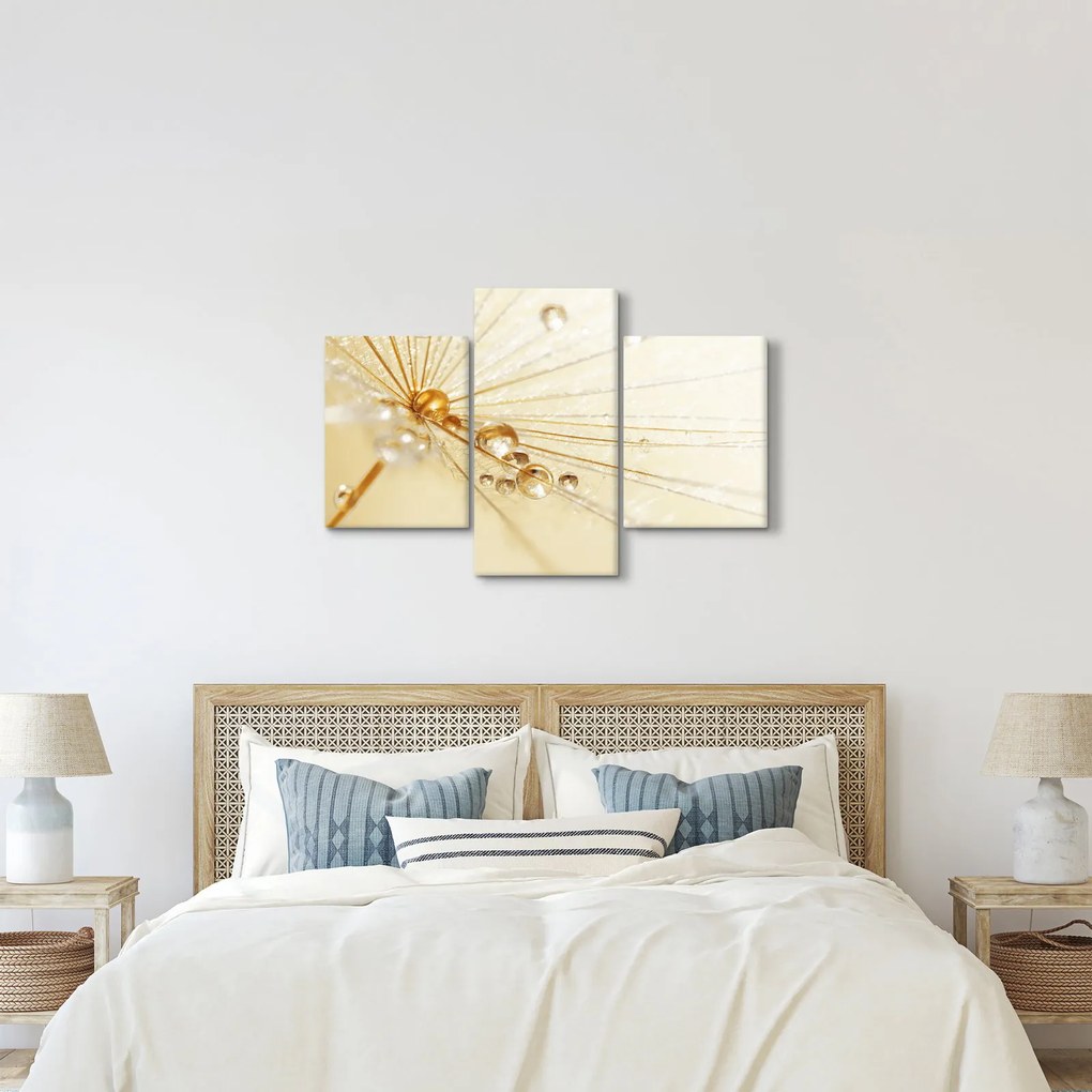 Kép - Makro fotó pitypangról (90x60 cm)