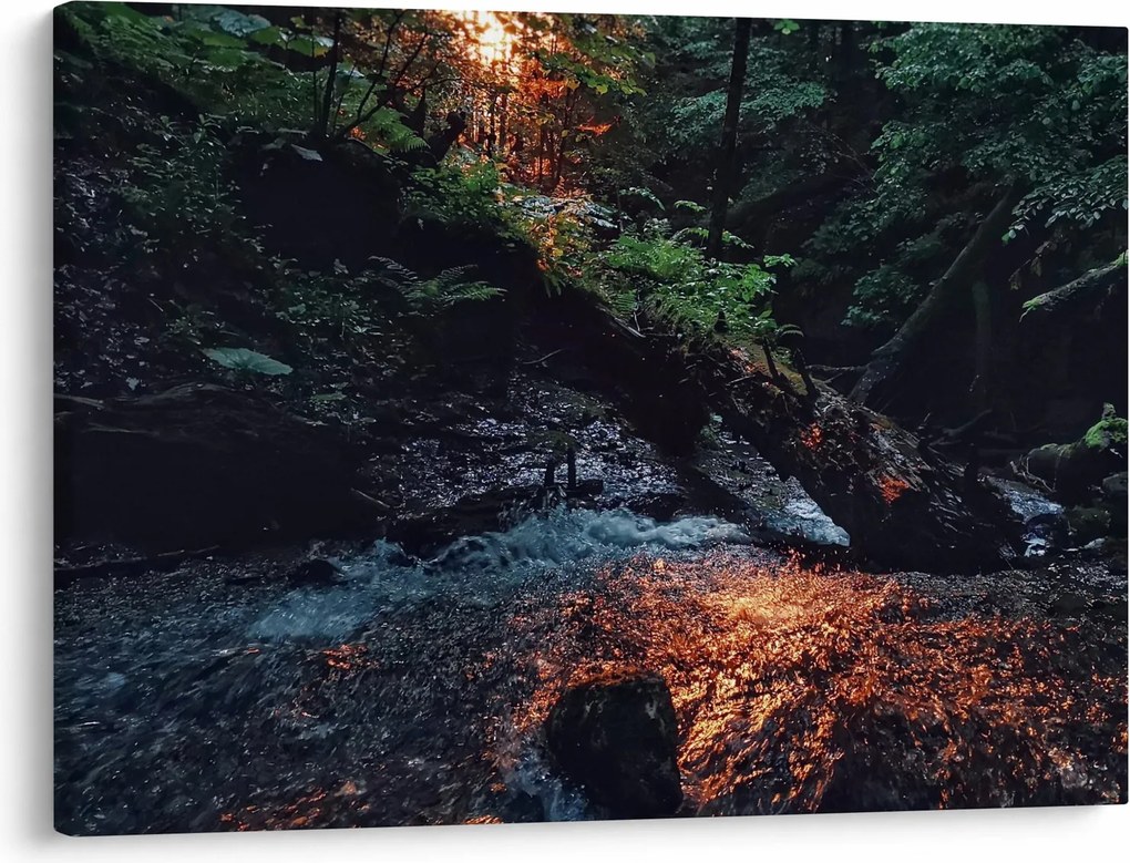 Hegyi folyó képe (70x50 cm)