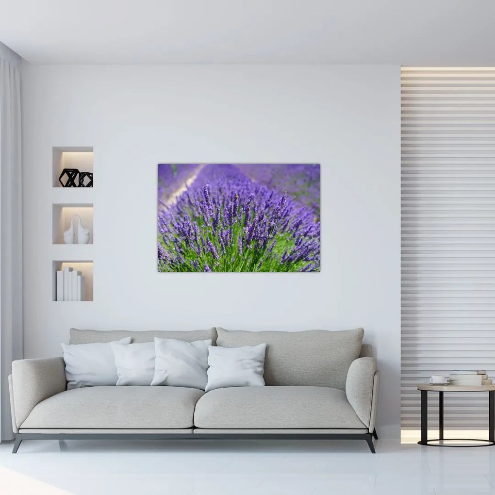 Kép - levandula (90x60 cm)