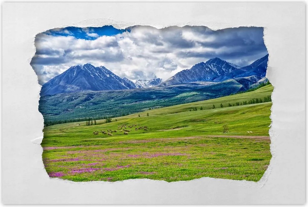 Poszterek 60x40 Juh legeltetés Bárányok