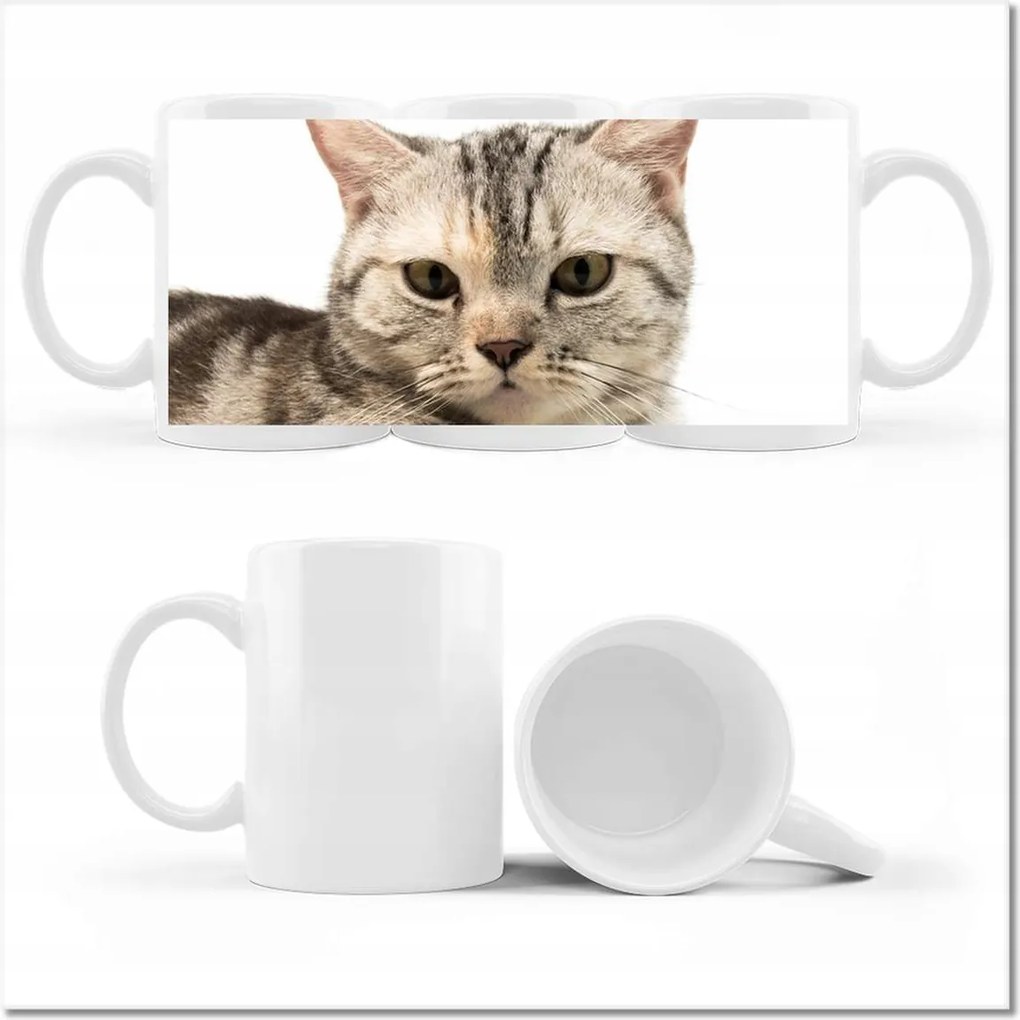 Fotó bögre Macska Cicák