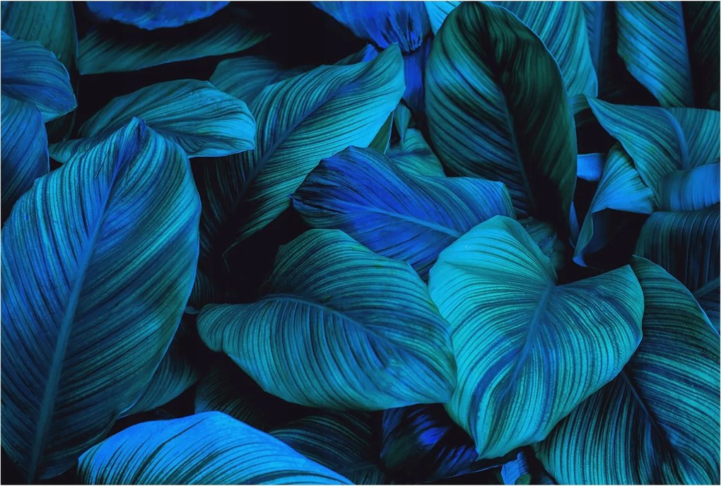 Fotótapéta Flizelin Dekoratív Hálószoba Kék levelek 104x70