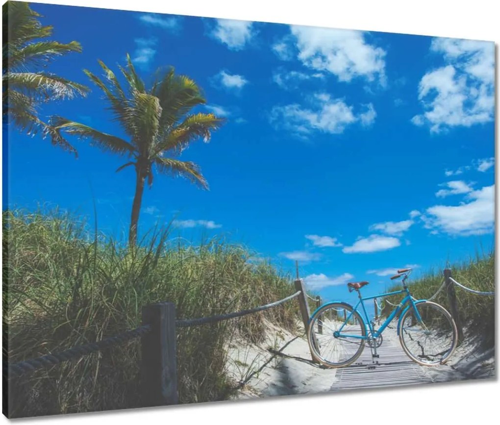 Képek 80x60 Kerékpárok Két kerék