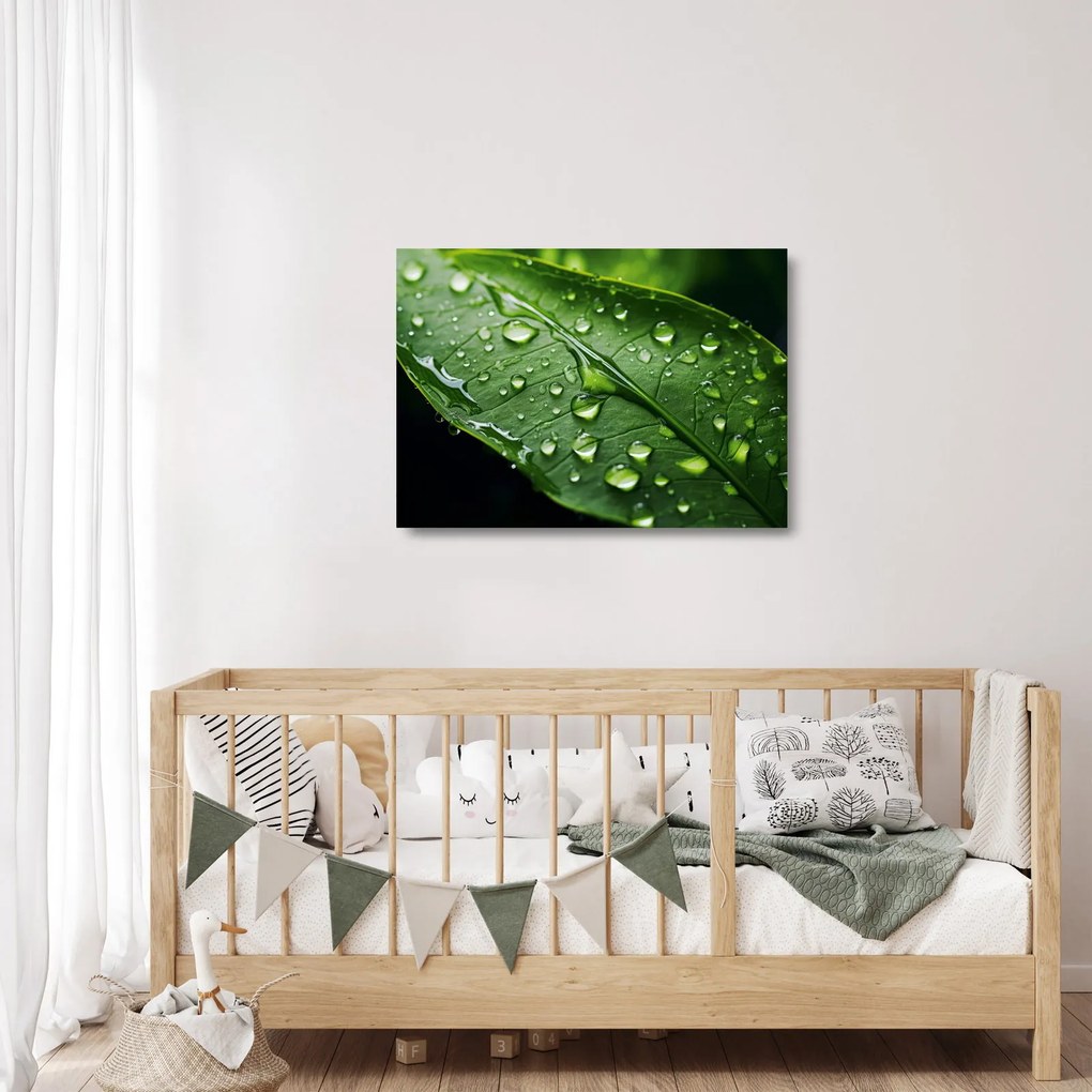 Üveg kép - Levél eső után (70x50 cm)