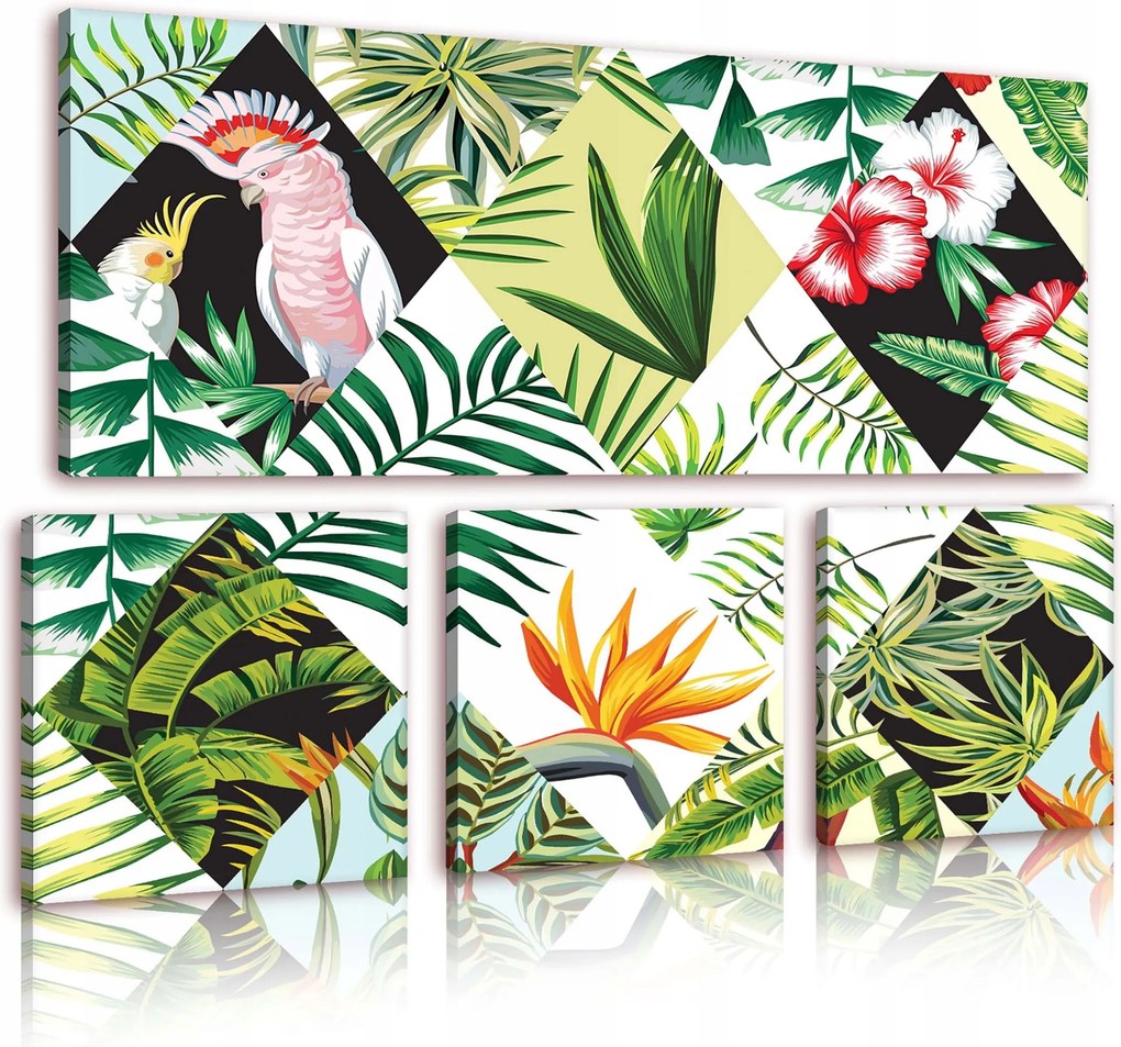 Vászonkép 80x55 Trópusok egzotikus dzsungel papagáj kakadu pálma levelek természet