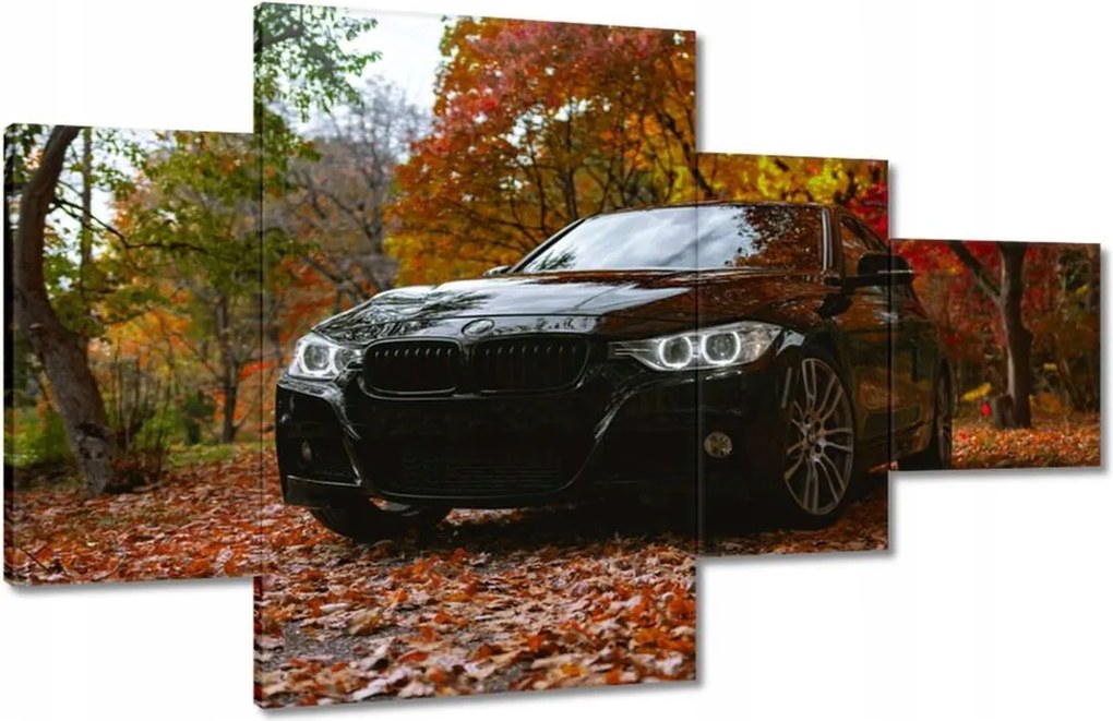 Képek 130x80 Fekete Bmw Ősz