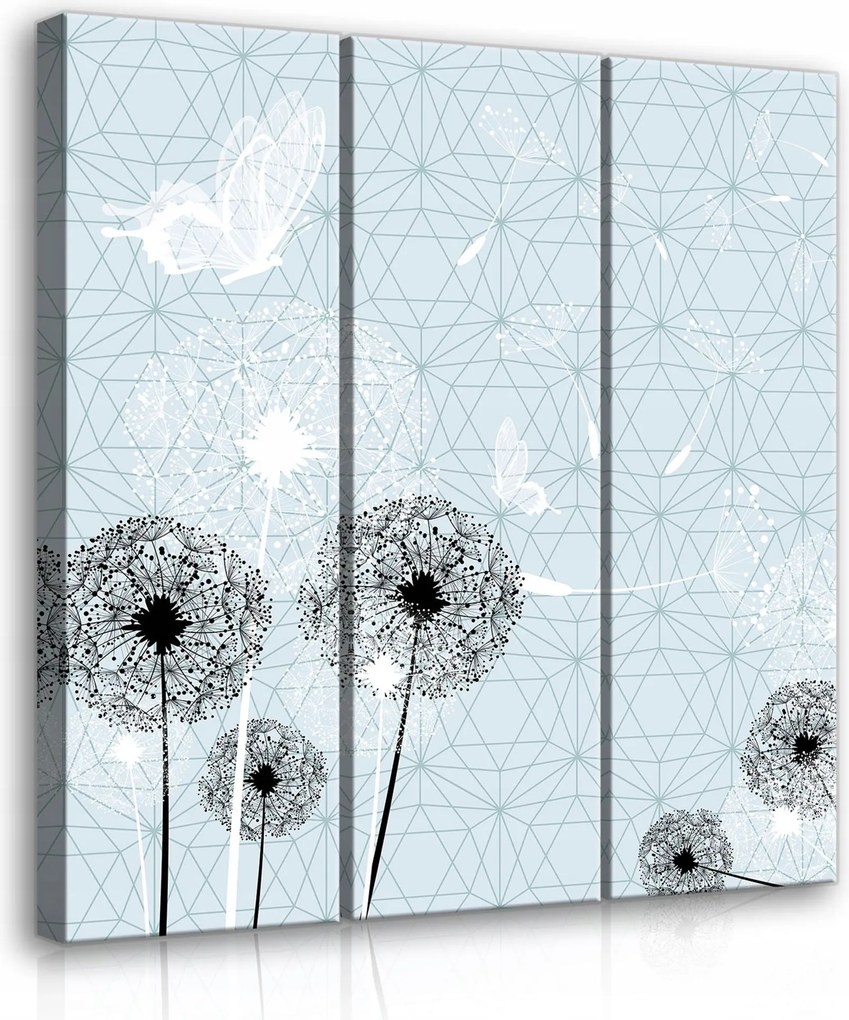 Vászonkép 90x100 Könnyűség Levegő Pitypang Pillangó Finomság Nyugalom