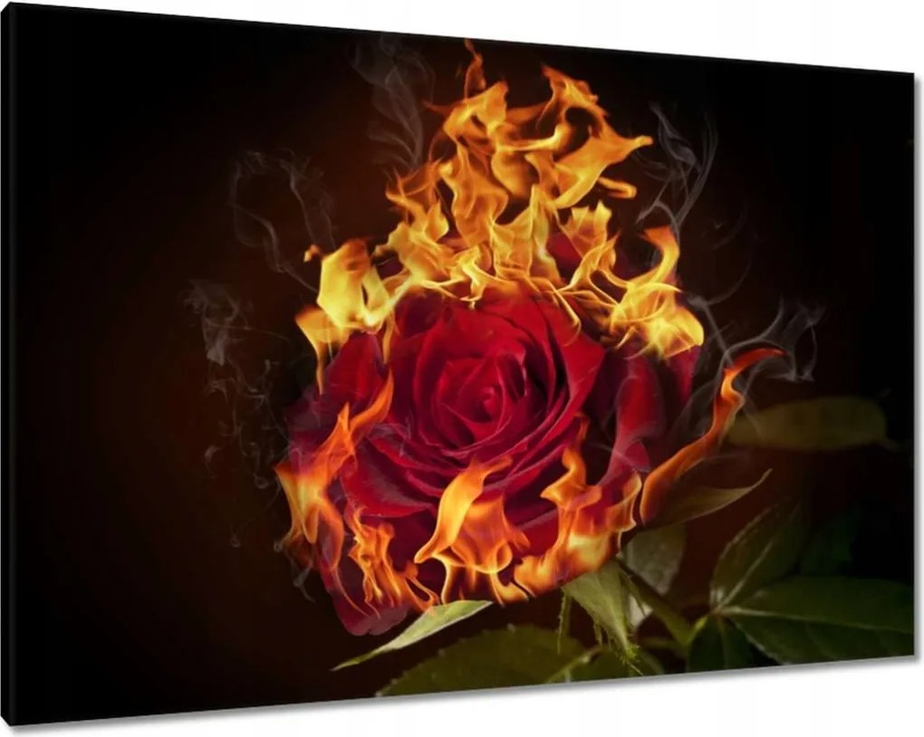 Vászonkép 100x70 Vörös lángoló rózsa