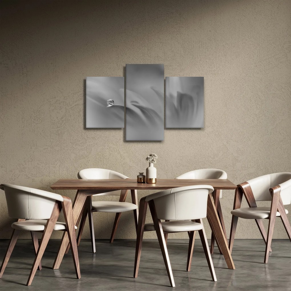 Kép - Csepp a virágon, fekete-fehér (90x60 cm)