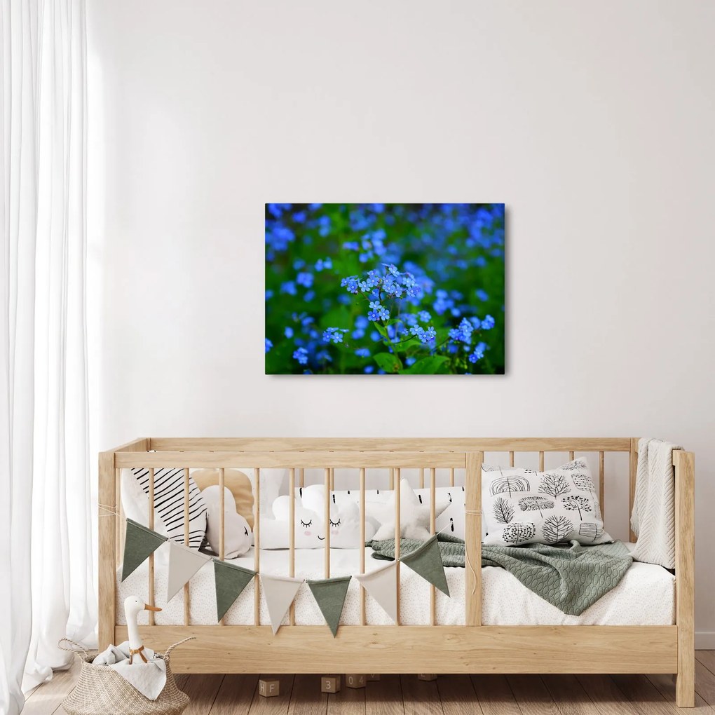 A kék virágok képe (70x50 cm)