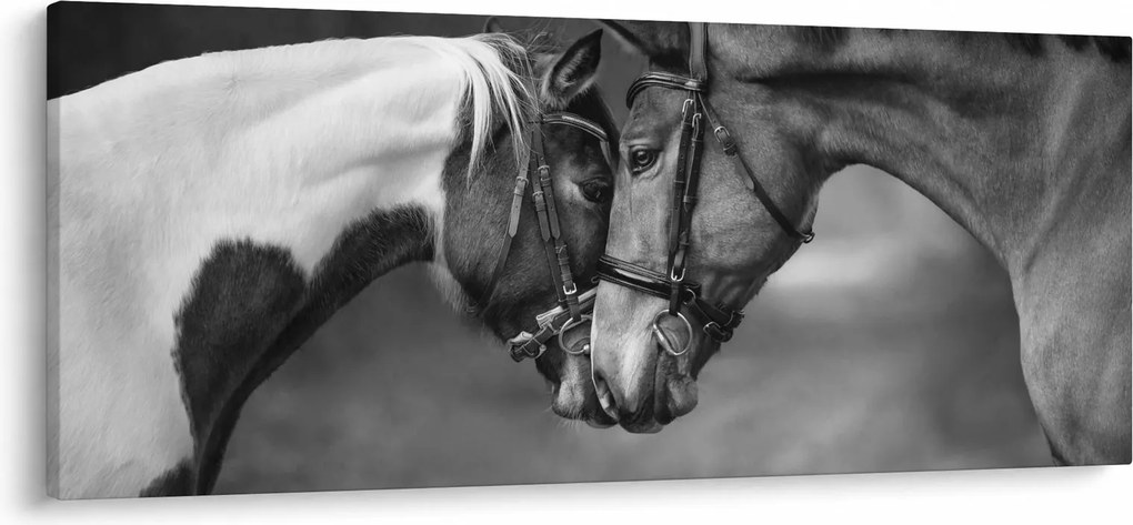 Kép - Szerelmes lovak, fekete-fehér (120x50 cm)