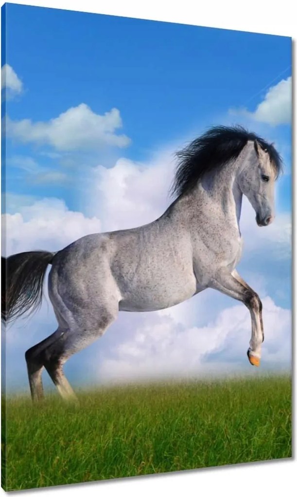 Vászonkép 70x100 Ló áll tölgy Ló