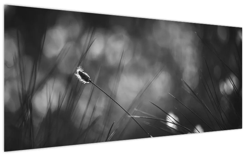 Kép - Mezei fű (120x50 cm)