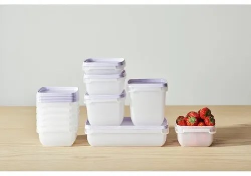 SmartStore Műanyag dobozok szett Freezer 3 db,levan dule, 1000 ml, 1000 ml