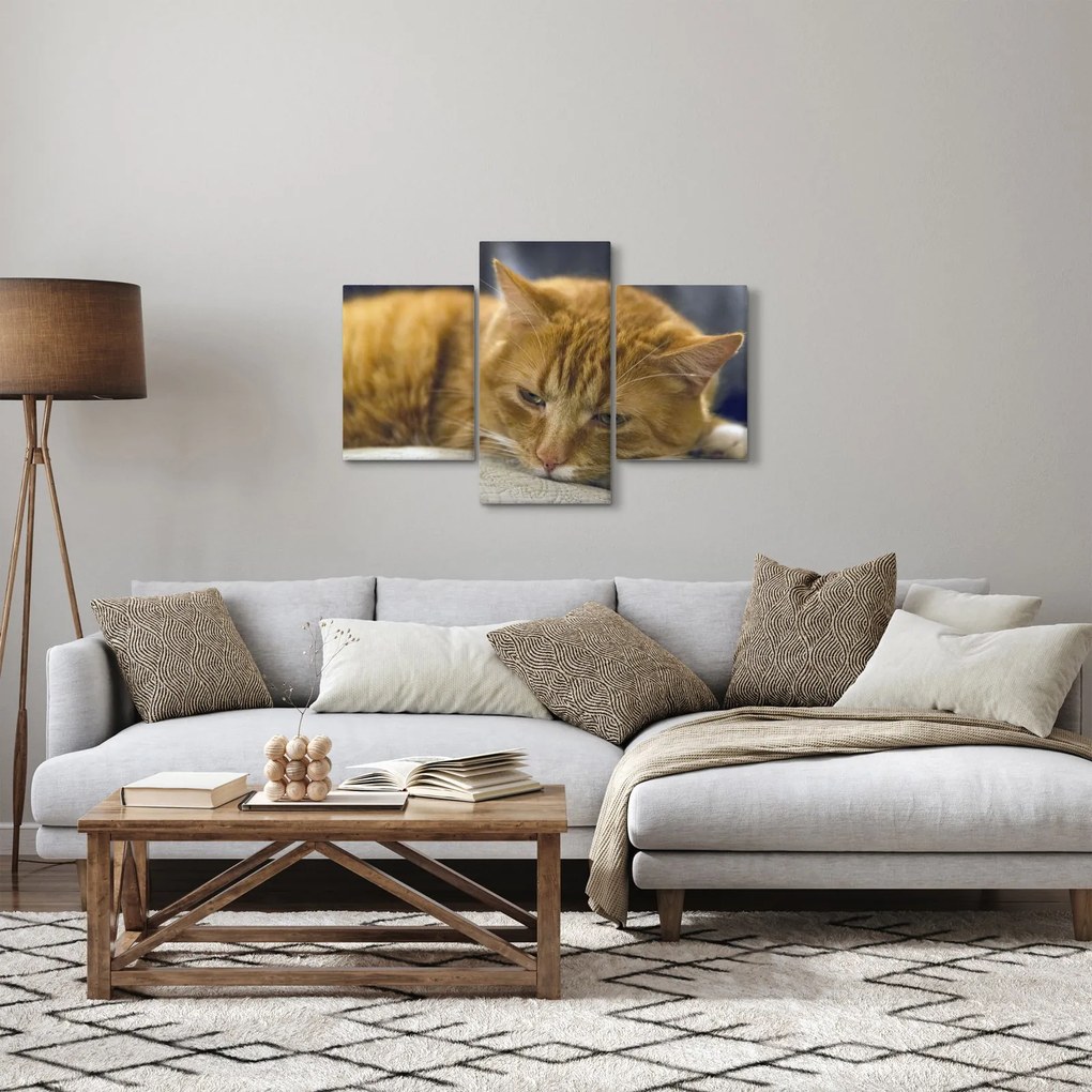 Macska képe (90x60 cm)