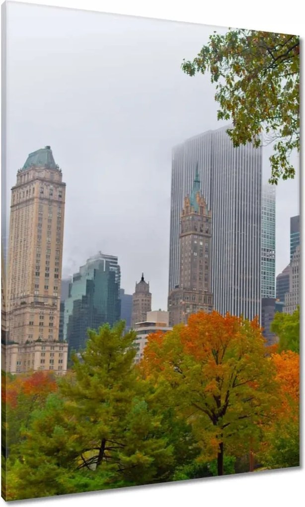 Vászonkép 70x100 Central Park New York Usa